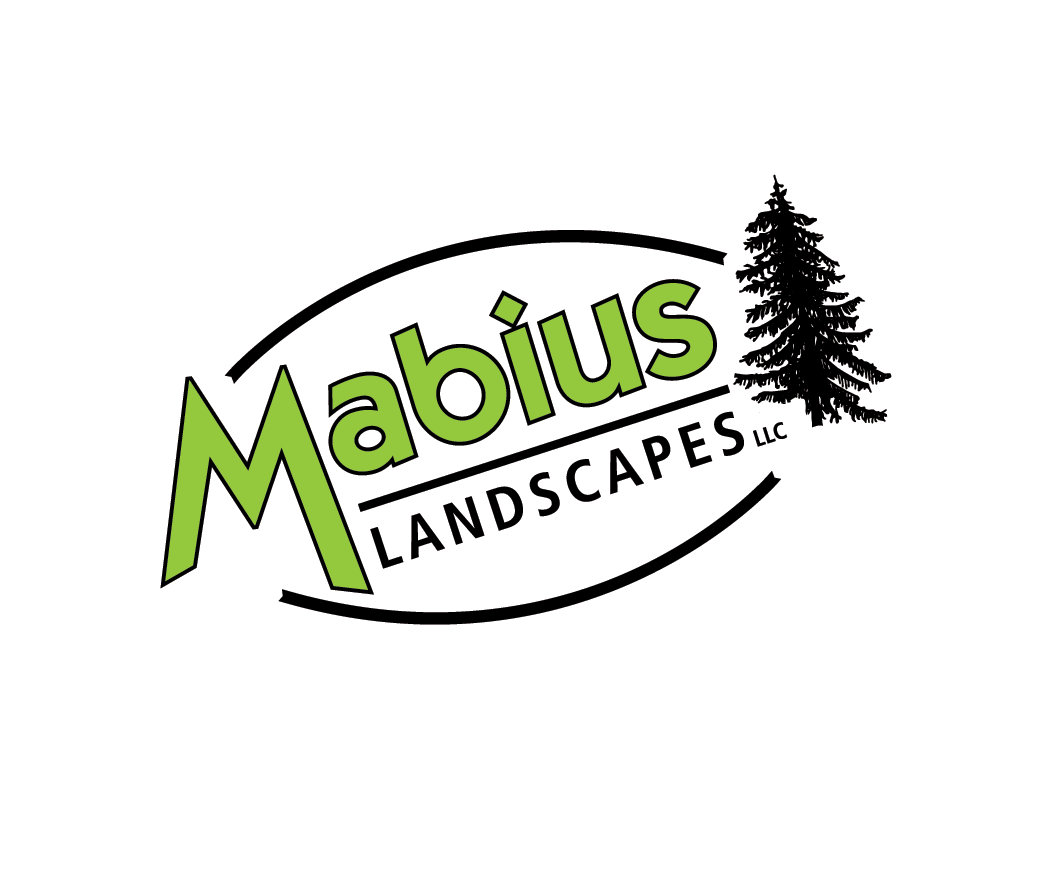 Logo Design - Mabius Landscapes LLC Enola PA Two Color Logo on White