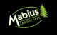 Logo Design - Mabius Landscapes LLC Enola PA Full Color Logo on Black